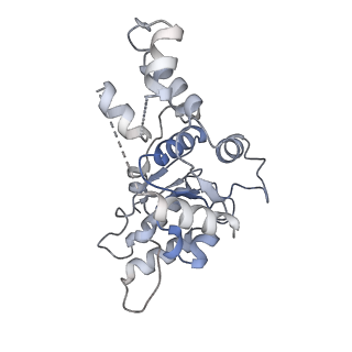 20327_6pek_E_v1-3
Structure of Spastin Hexamer (Subunit A-E) in complex with substrate peptide