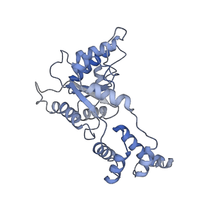 20327_6pen_B_v1-3
Structure of Spastin Hexamer (whole model) in complex with substrate peptide