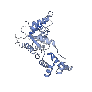 20327_6pen_B_v1-4
Structure of Spastin Hexamer (whole model) in complex with substrate peptide