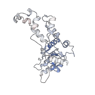 20327_6pen_E_v1-3
Structure of Spastin Hexamer (whole model) in complex with substrate peptide