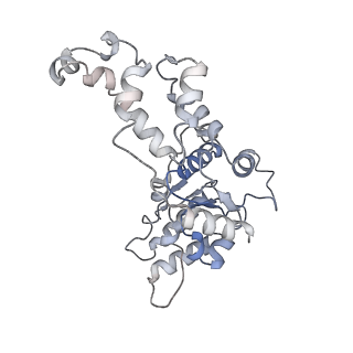 20327_6pen_E_v1-4
Structure of Spastin Hexamer (whole model) in complex with substrate peptide