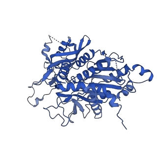 20333_6pev_A_v1-1
CryoEM Plasmodium falciparum M18 aspartyl aminopeptidase