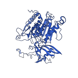 20333_6pev_B_v1-1
CryoEM Plasmodium falciparum M18 aspartyl aminopeptidase