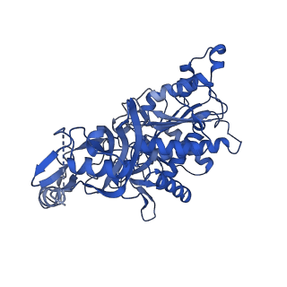 20333_6pev_C_v1-1
CryoEM Plasmodium falciparum M18 aspartyl aminopeptidase