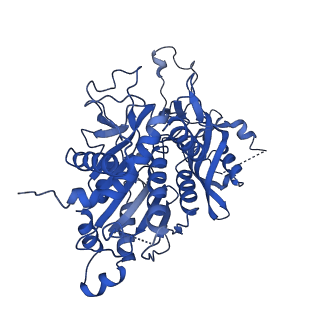 20333_6pev_D_v1-1
CryoEM Plasmodium falciparum M18 aspartyl aminopeptidase