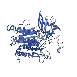 20333_6pev_E_v1-1
CryoEM Plasmodium falciparum M18 aspartyl aminopeptidase