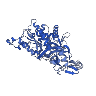 20333_6pev_F_v1-1
CryoEM Plasmodium falciparum M18 aspartyl aminopeptidase