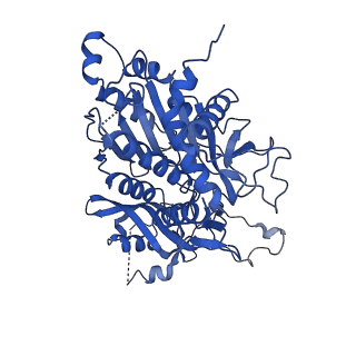 20333_6pev_G_v1-1
CryoEM Plasmodium falciparum M18 aspartyl aminopeptidase