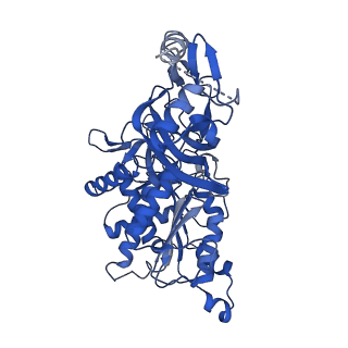 20333_6pev_H_v1-1
CryoEM Plasmodium falciparum M18 aspartyl aminopeptidase