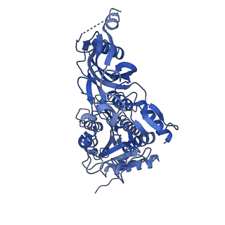 20333_6pev_I_v1-1
CryoEM Plasmodium falciparum M18 aspartyl aminopeptidase