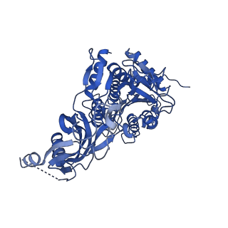 20333_6pev_J_v1-1
CryoEM Plasmodium falciparum M18 aspartyl aminopeptidase