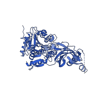 20333_6pev_K_v1-1
CryoEM Plasmodium falciparum M18 aspartyl aminopeptidase