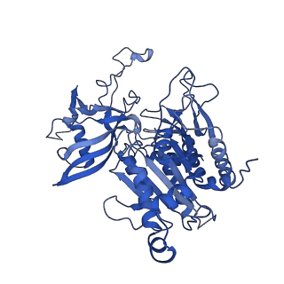 20333_6pev_L_v1-1
CryoEM Plasmodium falciparum M18 aspartyl aminopeptidase