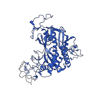 20334_6pew_A_v1-1
CryoEM Plasmodium falciparum glutamine synthetase