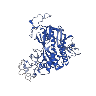 20334_6pew_A_v1-2
CryoEM Plasmodium falciparum glutamine synthetase