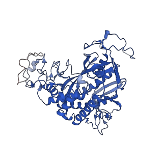 20334_6pew_B_v1-2
CryoEM Plasmodium falciparum glutamine synthetase