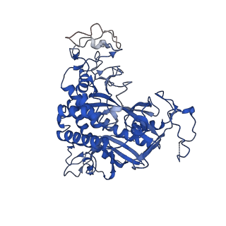 20334_6pew_C_v1-1
CryoEM Plasmodium falciparum glutamine synthetase