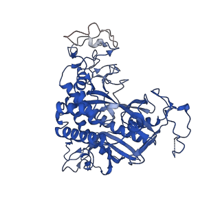 20334_6pew_C_v1-2
CryoEM Plasmodium falciparum glutamine synthetase