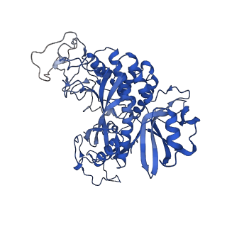 20334_6pew_D_v1-1
CryoEM Plasmodium falciparum glutamine synthetase