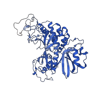 20334_6pew_D_v1-2
CryoEM Plasmodium falciparum glutamine synthetase