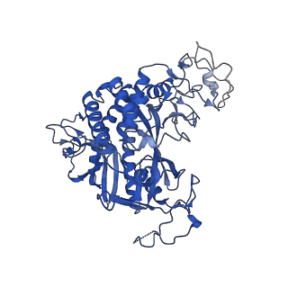 20334_6pew_E_v1-2
CryoEM Plasmodium falciparum glutamine synthetase