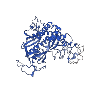 20334_6pew_F_v1-2
CryoEM Plasmodium falciparum glutamine synthetase