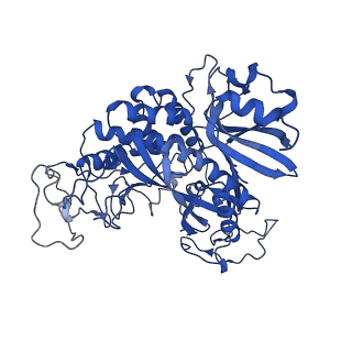 20334_6pew_G_v1-1
CryoEM Plasmodium falciparum glutamine synthetase