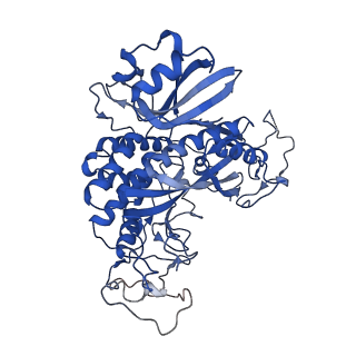 20334_6pew_H_v1-1
CryoEM Plasmodium falciparum glutamine synthetase