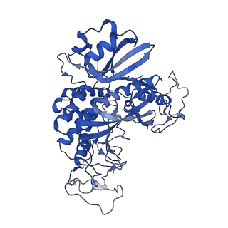 20334_6pew_H_v1-2
CryoEM Plasmodium falciparum glutamine synthetase