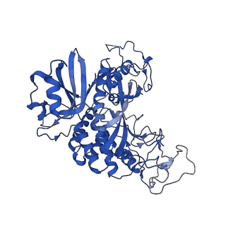 20334_6pew_I_v1-2
CryoEM Plasmodium falciparum glutamine synthetase