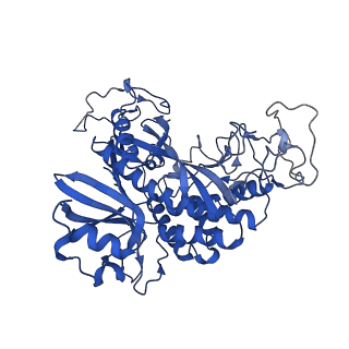 20334_6pew_J_v1-1
CryoEM Plasmodium falciparum glutamine synthetase