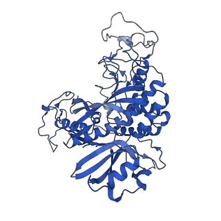 20334_6pew_K_v1-2
CryoEM Plasmodium falciparum glutamine synthetase