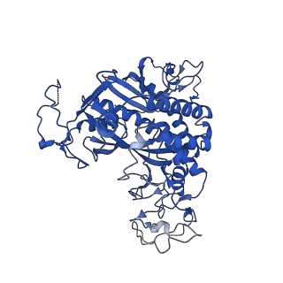 20334_6pew_L_v1-2
CryoEM Plasmodium falciparum glutamine synthetase