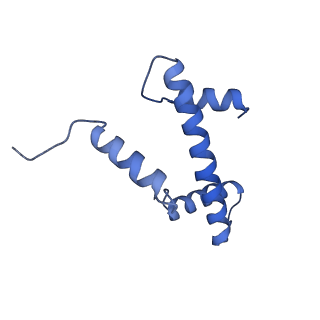 13366_7pf3_k_v1-0
Nucleosome 4 of the 4x187 nucleosome array containing H1