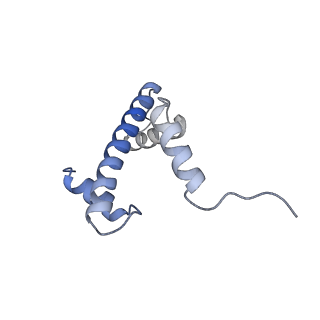 13367_7pf4_O_v1-0
Nucleosome 3 of the 4x187 nucleosome array containing H1