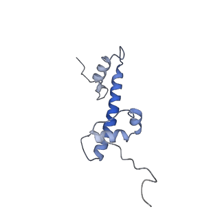13367_7pf4_Q_v1-0
Nucleosome 3 of the 4x187 nucleosome array containing H1