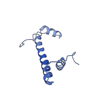 13368_7pf5_f_v1-0
Nucleosome 2 of the 4x187 nucleosome array containing H1