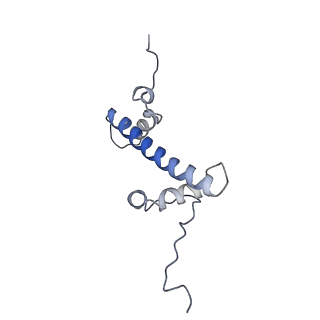 13369_7pf6_C_v1-0
Nucleosome 1 of the 4x187 nucleosome array containing H1