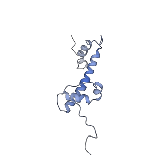 13369_7pf6_G_v1-0
Nucleosome 1 of the 4x187 nucleosome array containing H1