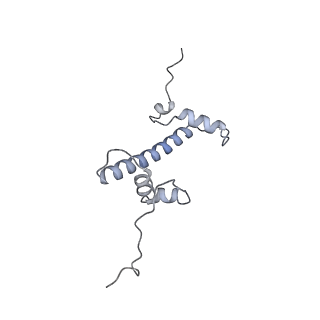 13372_7pfd_C_v1-0
Nucleosome 1 of the 4x197 nucleosome array containing H1