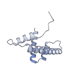 13372_7pfd_D_v1-0
Nucleosome 1 of the 4x197 nucleosome array containing H1