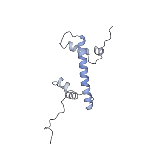 13372_7pfd_G_v1-0
Nucleosome 1 of the 4x197 nucleosome array containing H1