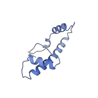 13373_7pfe_b_v1-0
Nucleosome 2 of the 4x197 nucleosome array containing H1