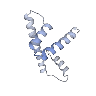 13374_7pff_N_v1-0
Nucleosome 3 of the 4x197 nucleosome array containing H1