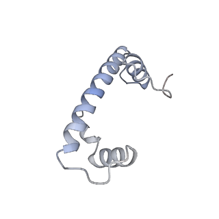 13374_7pff_P_v1-0
Nucleosome 3 of the 4x197 nucleosome array containing H1