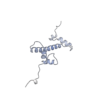 13374_7pff_Q_v1-0
Nucleosome 3 of the 4x197 nucleosome array containing H1