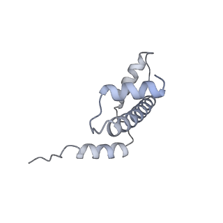 13380_7pfu_K_v1-0
Nucleosome stack of the 4x207 nucleosome array containing H1