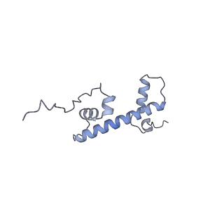13381_7pfv_C_v1-0
Nucleosome 1 of the 4x207 nucleosome array containing H1