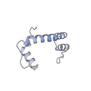 13381_7pfv_F_v1-0
Nucleosome 1 of the 4x207 nucleosome array containing H1