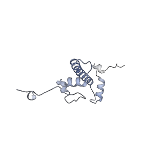 13381_7pfv_G_v1-0
Nucleosome 1 of the 4x207 nucleosome array containing H1